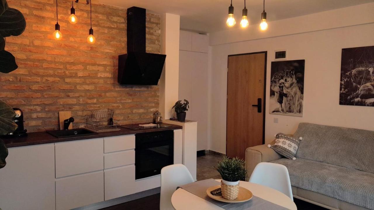 Casa Larisa - Wolves Apartment سِنايا المظهر الخارجي الصورة