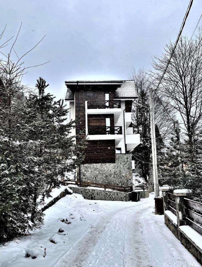 Casa Larisa - Wolves Apartment سِنايا المظهر الخارجي الصورة