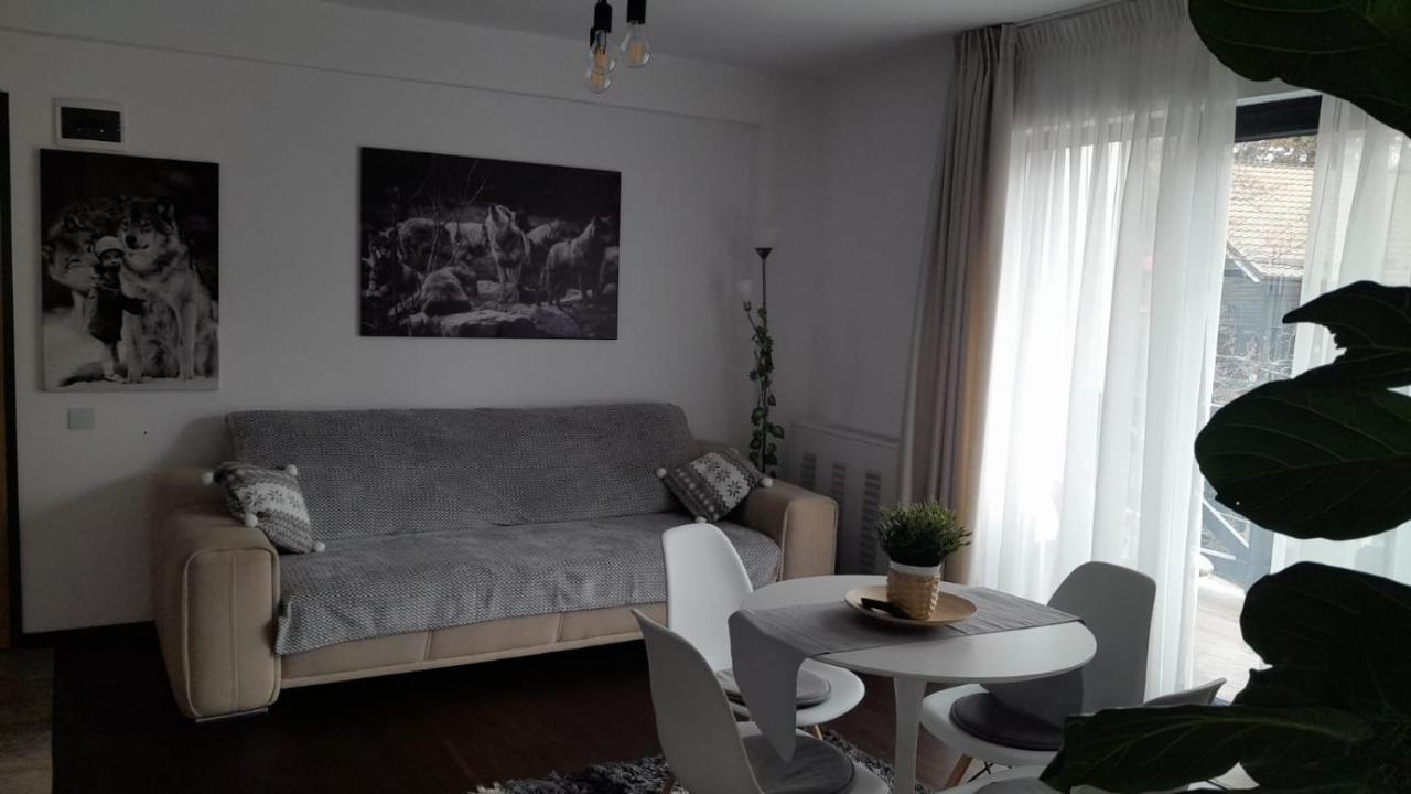 Casa Larisa - Wolves Apartment سِنايا المظهر الخارجي الصورة